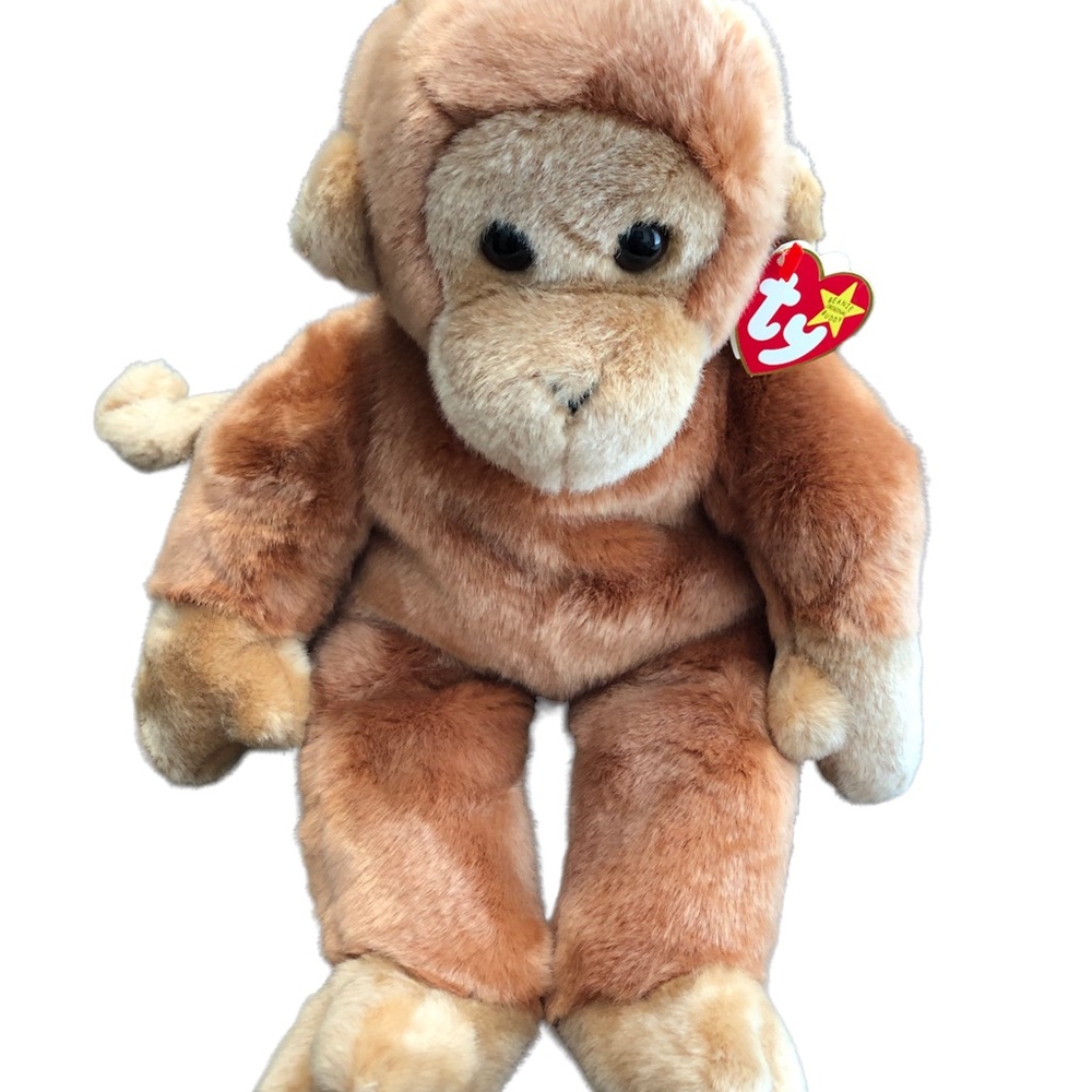 TY 1998 Bongo the Money Beanie Buddy original with tags.